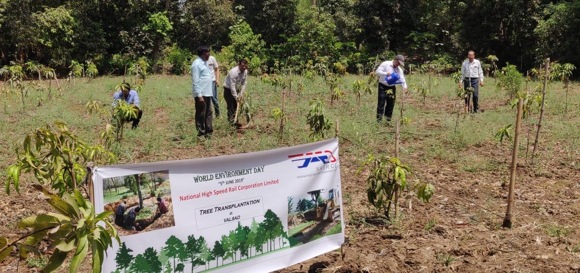 Additional tree plantation being undertaken in Surat district