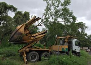 Tree Spade