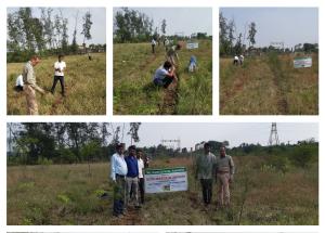 Tree plantation drive in Pariya village, district Valsad Nov 2019 