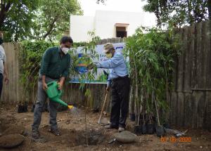Plantation drive at Vadodara Construction site on World Environment Day on 05 jun 2020