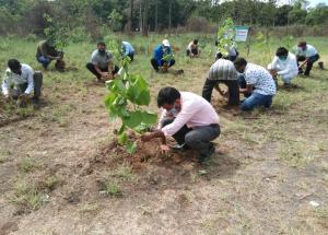 Plantation in Vapi and Valsad district on 05 Jun 2020