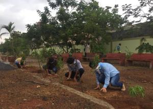 Plantation in Vapi and Valsad district on 05 Jun 2020
