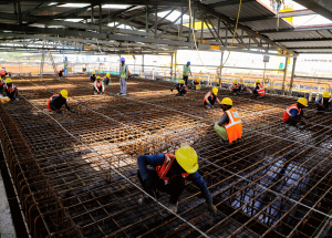 Precision and Dedication-Casting Yard in Vadodara, skilled workers carefully assemble and secure steel rebars Jan-2025