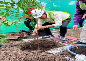 NHSRCL organized a tree plantation drive at Surat Bullet Train Station on 31st July 2025
