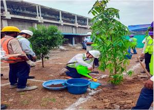 NHSRCL organized a tree plantation drive at Surat Bullet Train Station on 31st July 2025